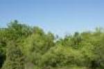 Škrapy nad Domicou: zarůstající pastevní biotop s pastevním indikátorem jalovcem (Juniperus communis) Škrapy nad Domicou: zarůstající pastevní biotop s pastevním indikátorem jalovcem (Juniperus communis)
